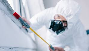 Emergency Pest Control Services in Annapolis, MD